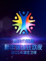 湖北卫视跨年晚会