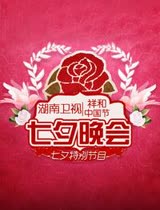 湖南卫视七夕晚会